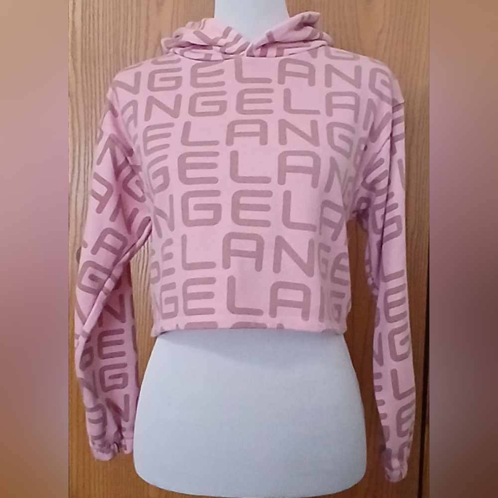 Forever 21 Crop Hoodie size S (3-5)     17-038